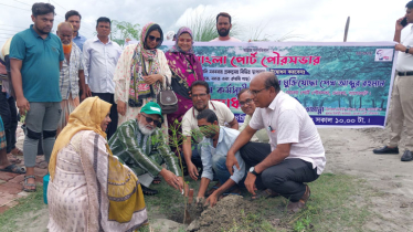 ‘পরিবেশ রক্ষায় বৃক্ষরোপণ অত্যাবশ্যক’ 