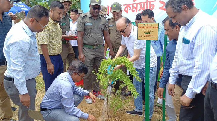 ‌‘পরিবেশের ভারসাম্য রক্ষায় বৃক্ষরোপনের কোনো বিকল্প নেই’