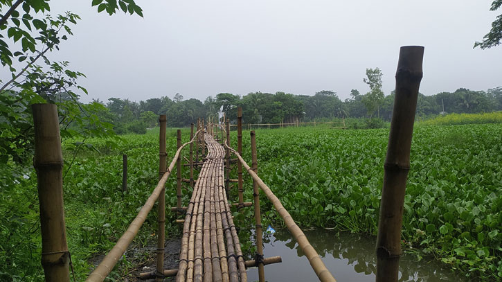 বর্ষা মৌসুমে কালিপুর গ্রামবাসীর এক মাত্র ভরসা বাঁশের সাঁকো